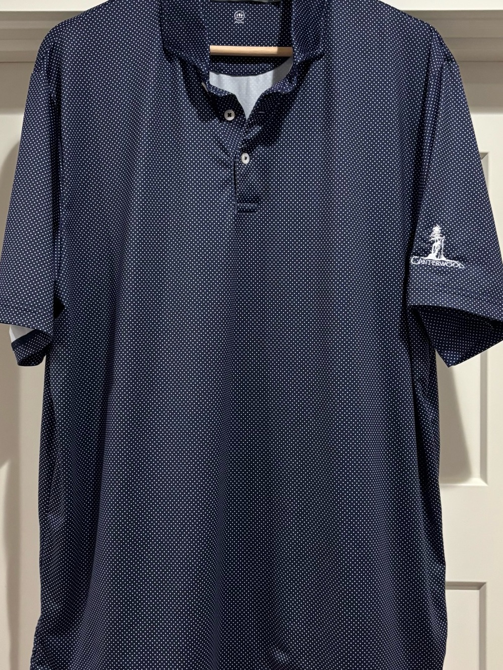 Ralph Lauren Men's Navy Microdot Polo Shirt